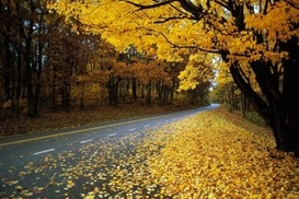 Погода на завтра