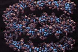 Нобелевскую премию по химии получили ученые, исследовавшие ДНК