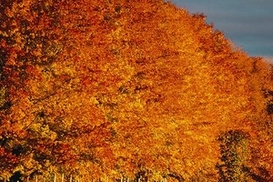 В Украине скоро потеплеет