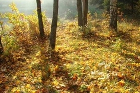 В Украине задержится теплая погода