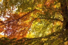 В Украине сохранится прохладная погода