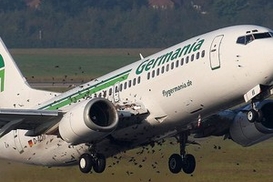 Самолет чуть не разбился из-за стаи скворцов (ФОТО)