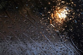 Завтра в Киеве дождь