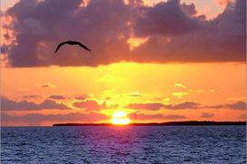 Завтра в Украине до +28°