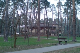 Киевсовет решил, что в столице слишком много лесов… и отдал 25 га под застройку