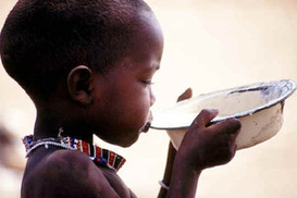 ООН: Количество голодающих скоро превысит 1 миллиард человек