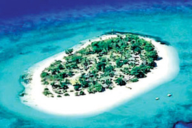 Кто хочет получить работу мечты?!