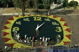 В Киеве снова запустят цветочные часы (фото)