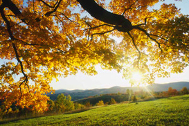 В ближайшие дни в Украине тепло