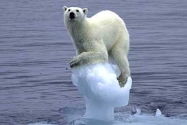 WWF: Глобальное потепление угрожает жизни четверти населения Земли