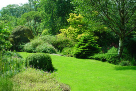 Завтра в Киеве тепло