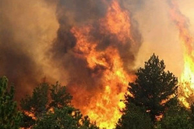 В Калифорнии бушуют лесные пожары. Жителей эвакуируют