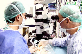 Украина снова попала в историю с «черной трансплантологией»