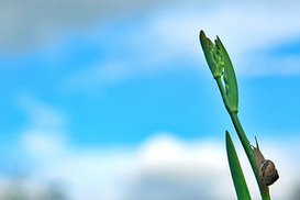 На выходных без осадков