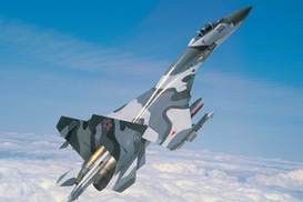 Умерла россиянка, пострадавшая при падении СУ-27