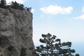 В Крыму погибла российская туристка