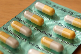 Украинки, «подцепившие» свиной грипп во Франции, выздоровели