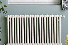 Киевлянка приковала себя к батарее и требует зарплату