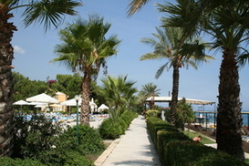 Турция ужесточила правила для туристов из-за «свиного» гриппа