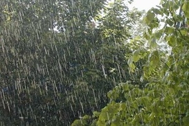 Завтра в Украине снова дождливо