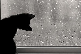 Завтра в Украине дождливо