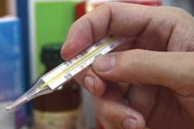 Треть населения планеты может заразиться гриппом А/H1N1 - ВОЗ