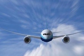 Над Ираном рухнул самолет: погибли 169 человек