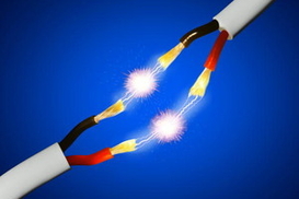 В Сумской области две девушки погибли от поражения током