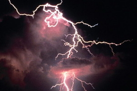 В Харьковской области молния убила человека