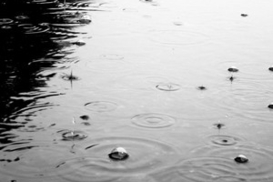 В Украине дождливо