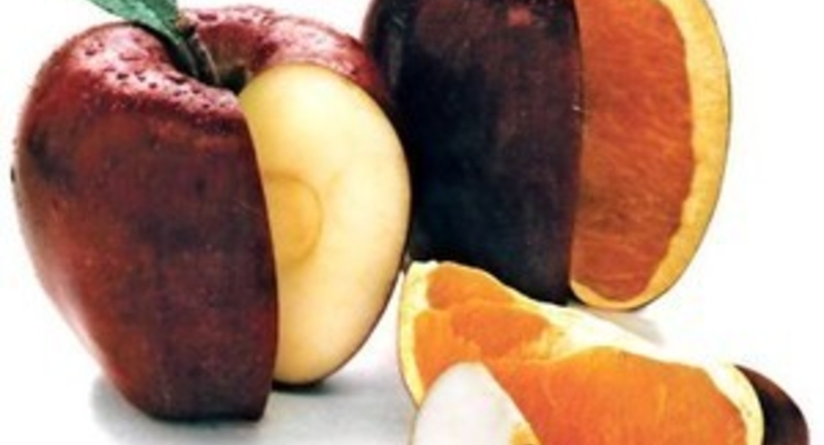 Сеть лабораторий для испытания продуктов питания содержащих ГМО должна быть создана до осени