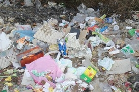 Шведы научат Украину правильно утилизировать мусор