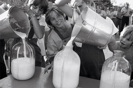 Молокозаводам запретят скупать молоко у населения