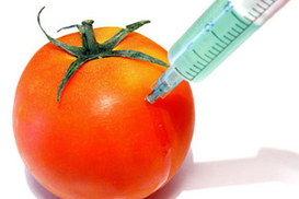 Продукты с ГМО начнут маркировать с 1 июля