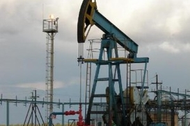 ОПЕК назвала приемлемой ценой на нефть $70