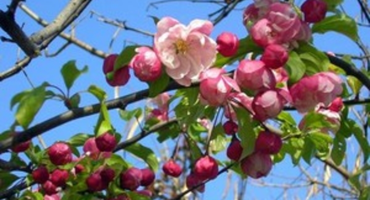 Самый дорогой в США особняк продают за 150 млн. долларов (фото)