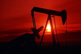 Цена на нефть поднялась до $43