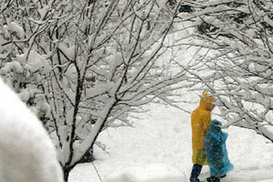 Морозы спадут с старому Новому году