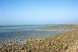 Мир переживает сразу три глобальных  кризиса, - генсек ООН