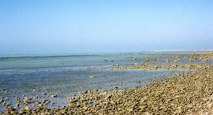 Мир переживает сразу три глобальных  кризиса, - генсек ООН