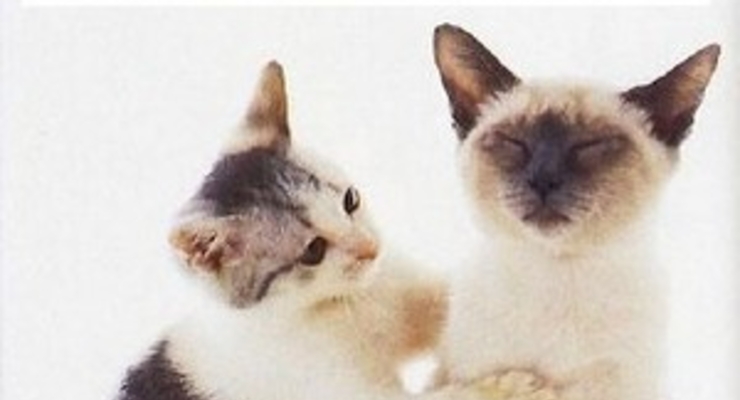 Самый тяжелый день недели – среда