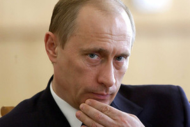 Путин согласился стать главным «медведем»