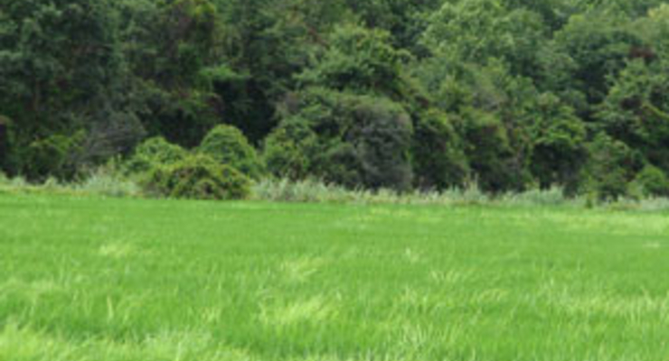 Земельное наследство и его оформление