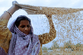 Сонные сотрудники приносят миллиардные убытки