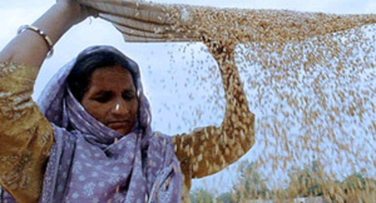 Сонные сотрудники приносят миллиардные убытки