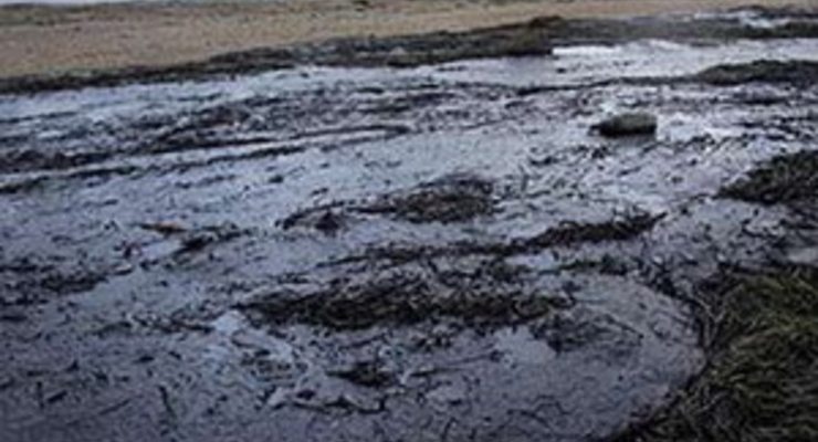 На берег Черного моря выбросило сотни тонн мазута