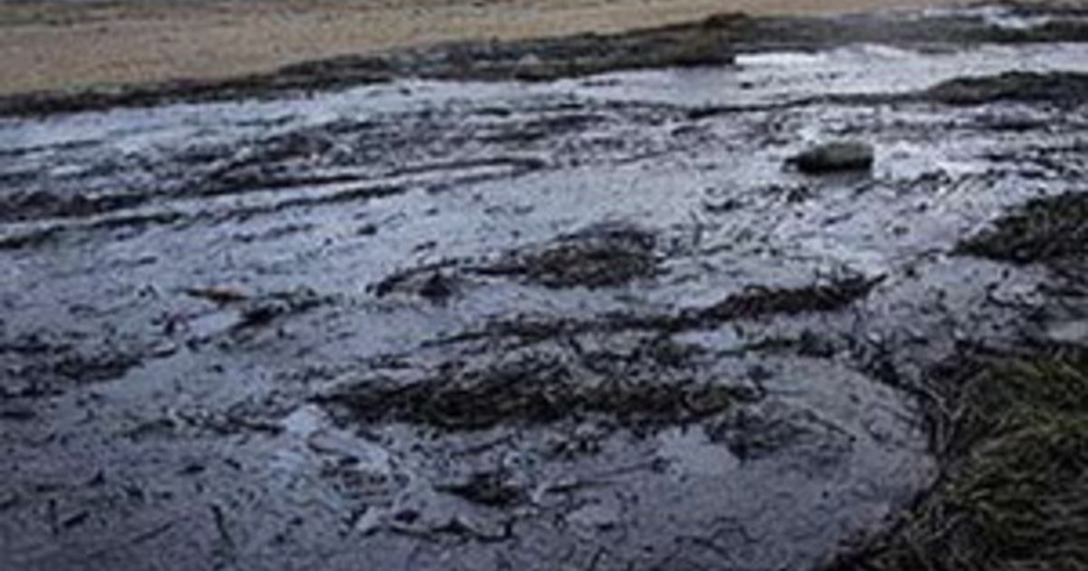 загрязнение нефтью. пятно мазута. пятно мазута. пятно мазута. загрязнение воды нефтепродуктами.