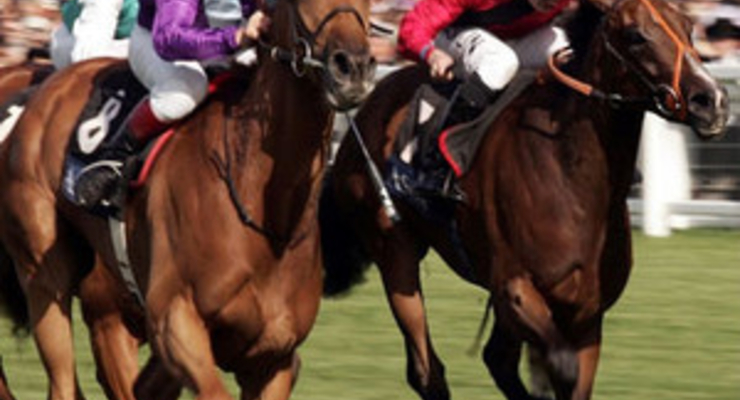 Британец выиграл на скачках миллион фунтов, поставив всего 50 пенсов