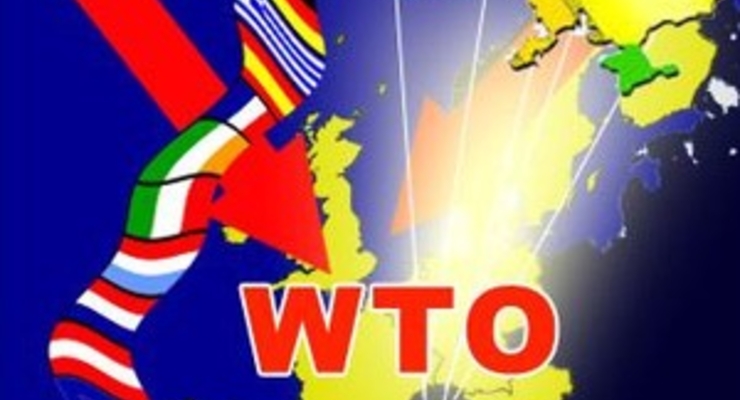 Украину приняли в ВТО. Следующая – Россия?!