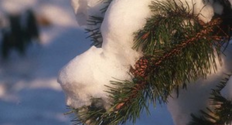 В результате непогоды в Украине обесточены 243 населенных пункта